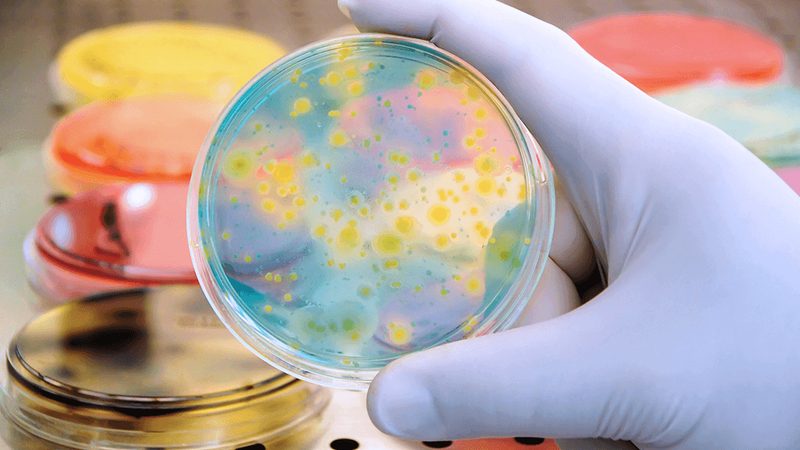 生物实验室装修：揭秘与普通装修的五大关键区别**