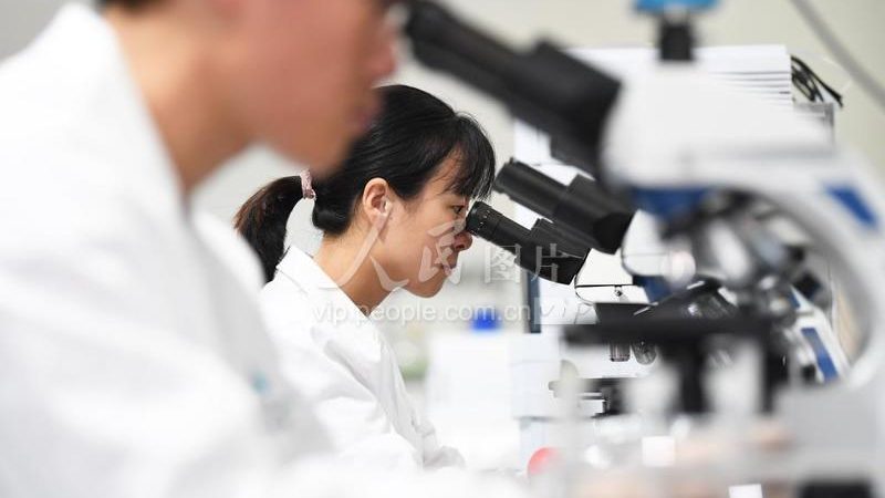 实验室离心管与试管的选用之道：如何匹配实验需求