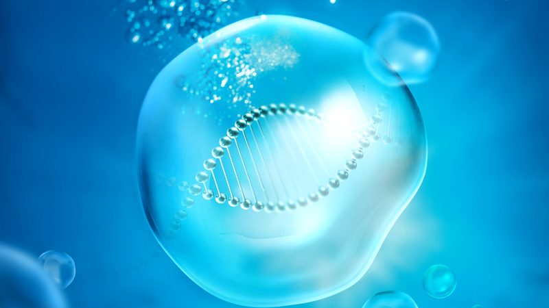 生物医药内包团队费用，如何合理预算？**
