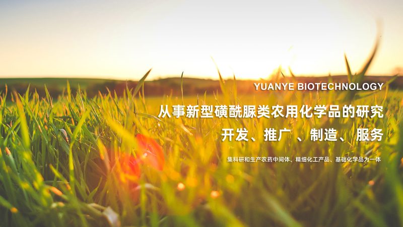 全自动生物分析仪：价格背后的价值考量