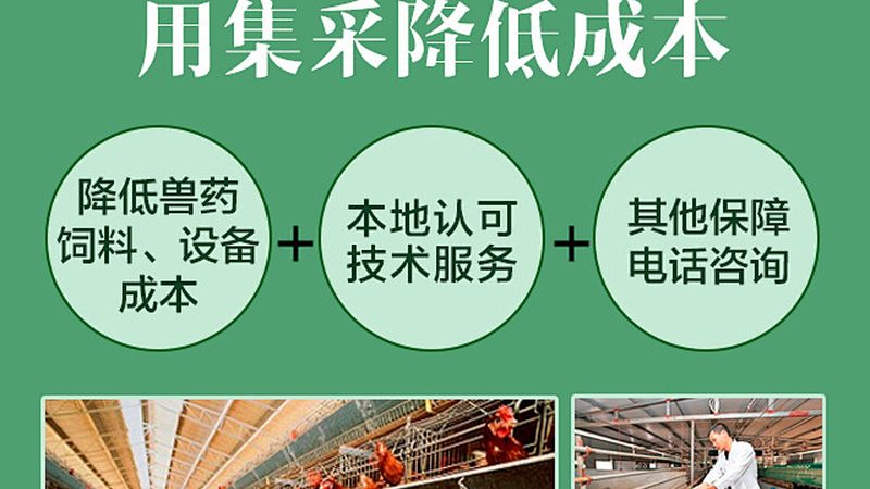PCR检测准确度：揭秘其关键因素与选择要点