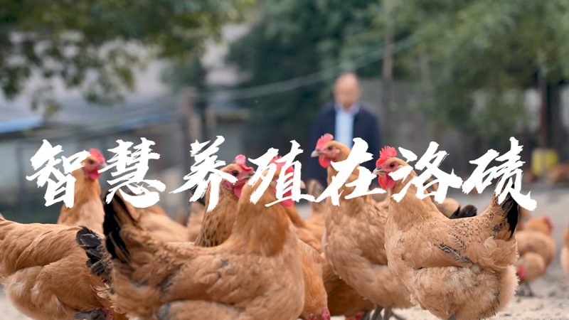 精准掌控，步步为营：可调式移液器校准方法全解析**