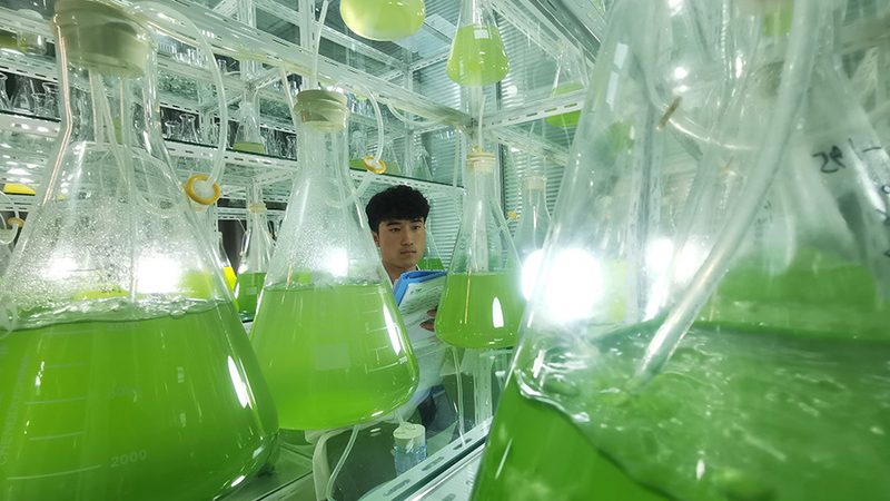 引物合成批量发货，周期如何缩短？**